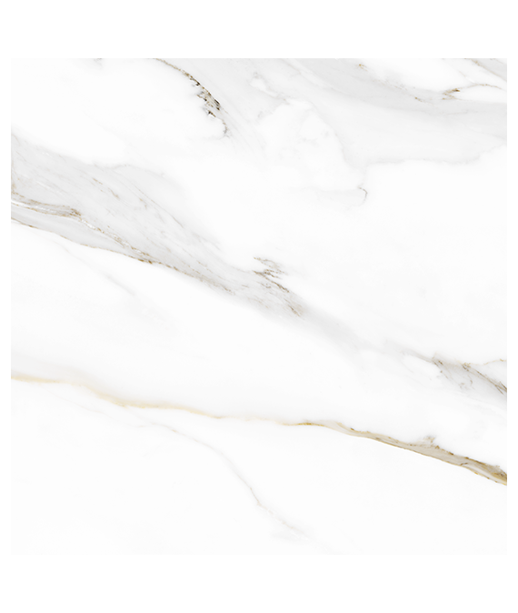 Calacatta pol gold 120×120