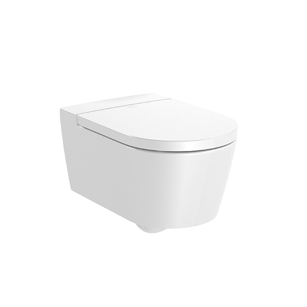 ROUND- CUVETTE SUSPENDUE SANS BRIDE RIMLESS